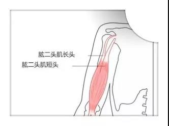 肩周炎