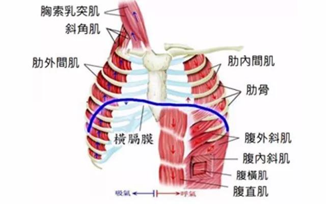 福州治疗腰痛