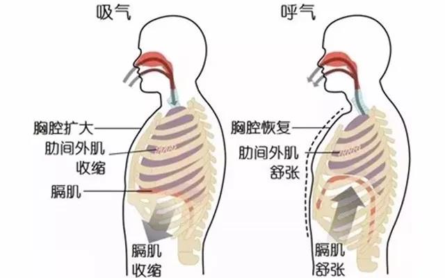 福州腰痛治疗