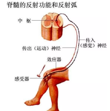 腿疼福州哪个医院看好