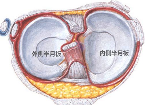 半月板损伤福州哪家医院治疗好？